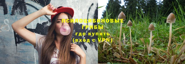 молекула духа Армянск