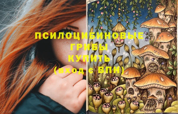 молекула духа Армянск