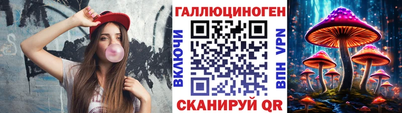 Псилоцибиновые грибы Cubensis Любим
